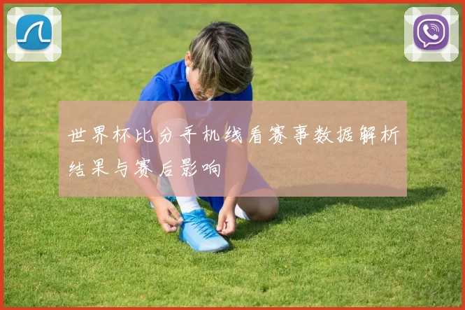 世界杯比分手机线看赛事数据解析结果与赛后影响