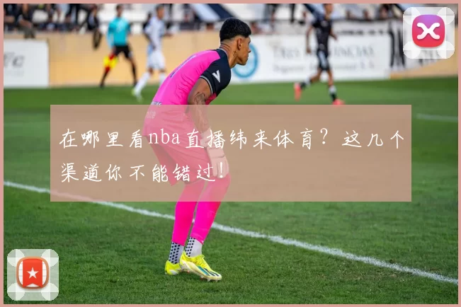 在哪里看nba直播纬来体育?这几个渠道你不能错过!