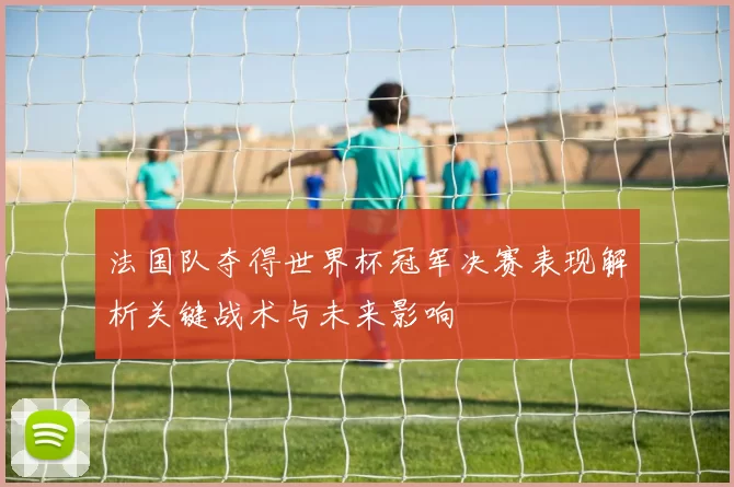 法国队夺得世界杯冠军决赛表现解析关键战术与未来影响