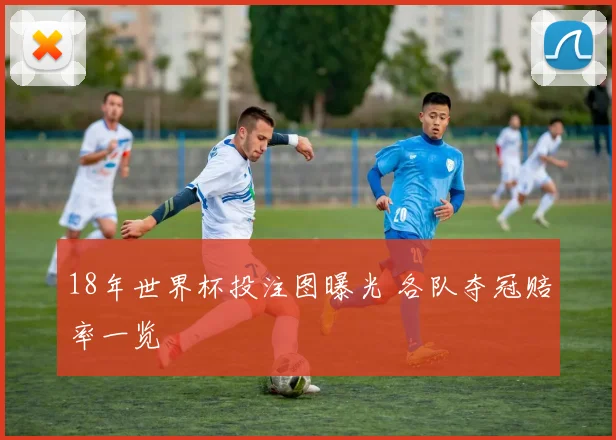 18年世界杯投注图曝光 各队夺冠赔率一览